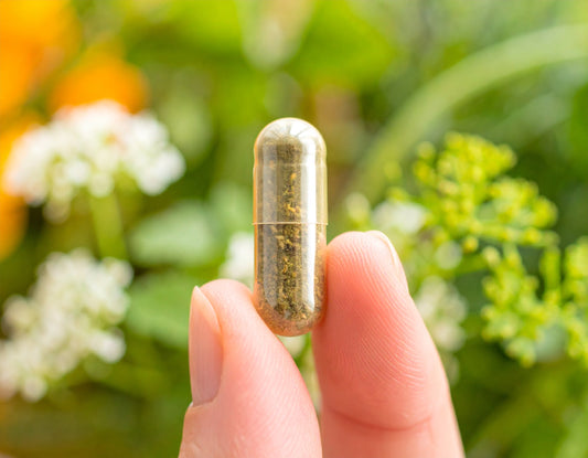 How BSYS Xilaizhi Capsules Work to Boost Your Vitality and Health